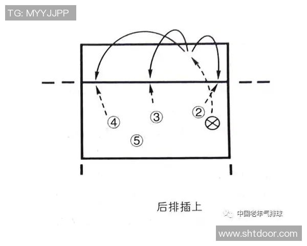 广州排球队战术解析与未来发展方向探讨